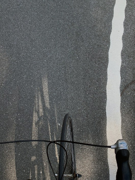 solveig-veronika schönweitz