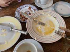 solveig-veronika schönweitz