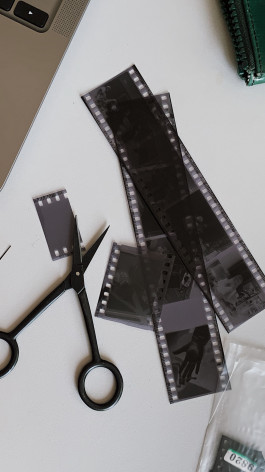 solveig-veronika schönweitz