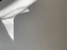 solveig-veronika schönweitz