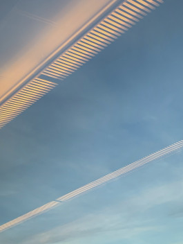 solveig-veronika schönweitz