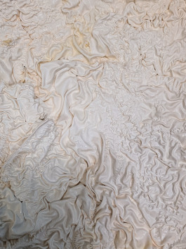 solveig-veronika schönweitz