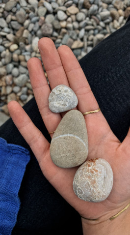 solveig-veronika schönweitz