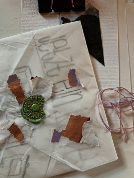 solveig-veronika schönweitz