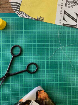 solveig-veronika schönweitz