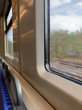 solveig-veronika schönweitz