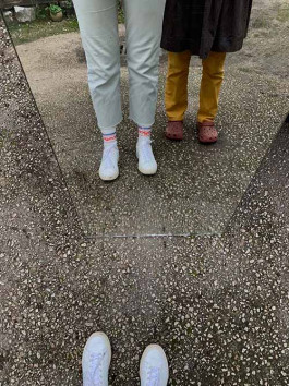 solveig-veronika schönweitz