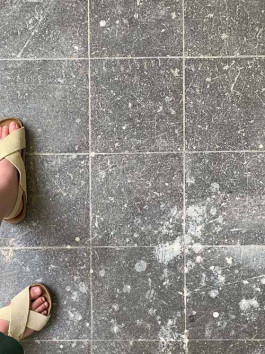 solveig-veronika schönweitz