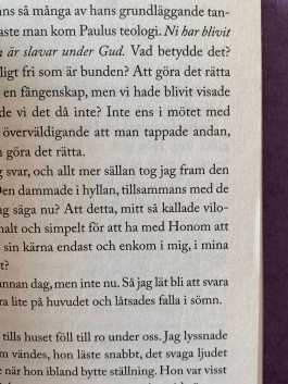 solveig-veronika schönweitz