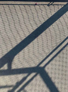 solveig-veronika schönweitz