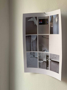 solveig-veronika schönweitz