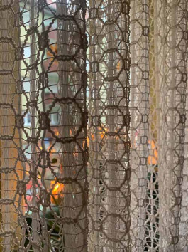 solveig-veronika schönweitz