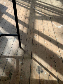 solveig-veronika schönweitz