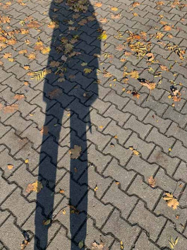 solveig-veronika schönweitz