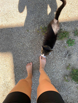 solveig-veronika schönweitz