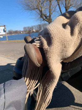 solveig-veronika schönweitz