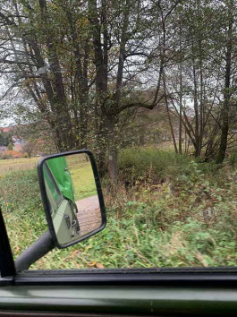 solveig-veronika schönweitz