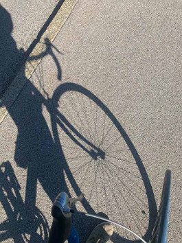 solveig-veronika schönweitz