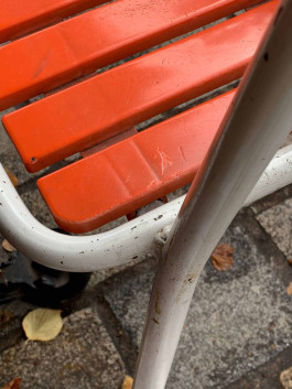 solveig-veronika schönweitz