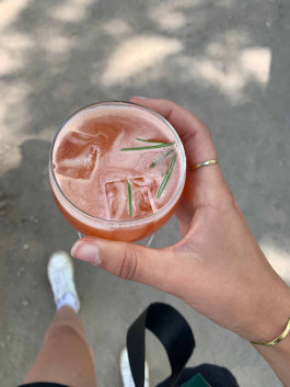 solveig-veronika schönweitz