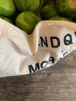 solveig-veronika schönweitz