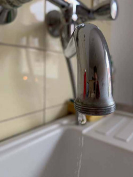 solveig-veronika schönweitz