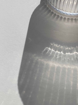 solveig-veronika schönweitz