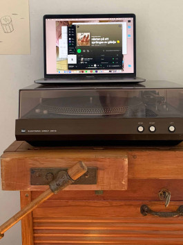 solveig-veronika schönweitz