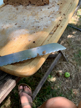 solveig-veronika schönweitz