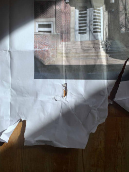 solveig-veronika schönweitz