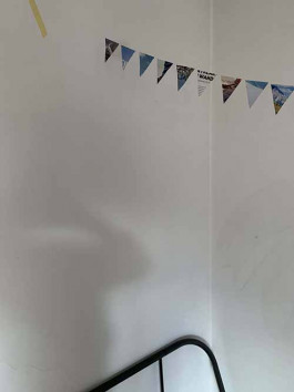 solveig-veronika schönweitz