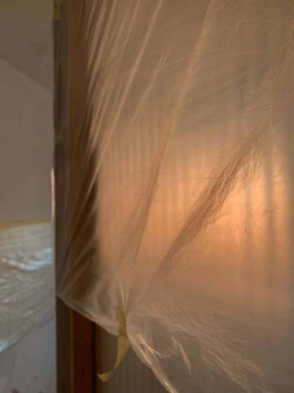 solveig-veronika schönweitz