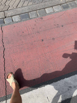 solveig-veronika schönweitz