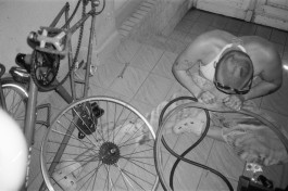 solveig-veronika schönweitz