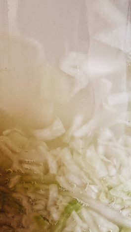 solveig-veronika schönweitz