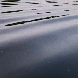 solveig-veronika schönweitz