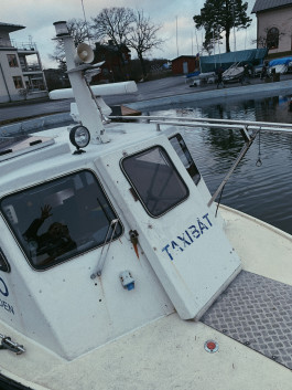 solveig-veronika schönweitz