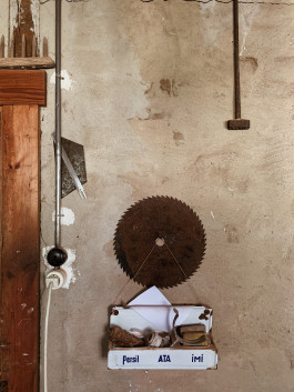 solveig-veronika schönweitz